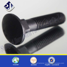 Black finished square neck carriage bolt